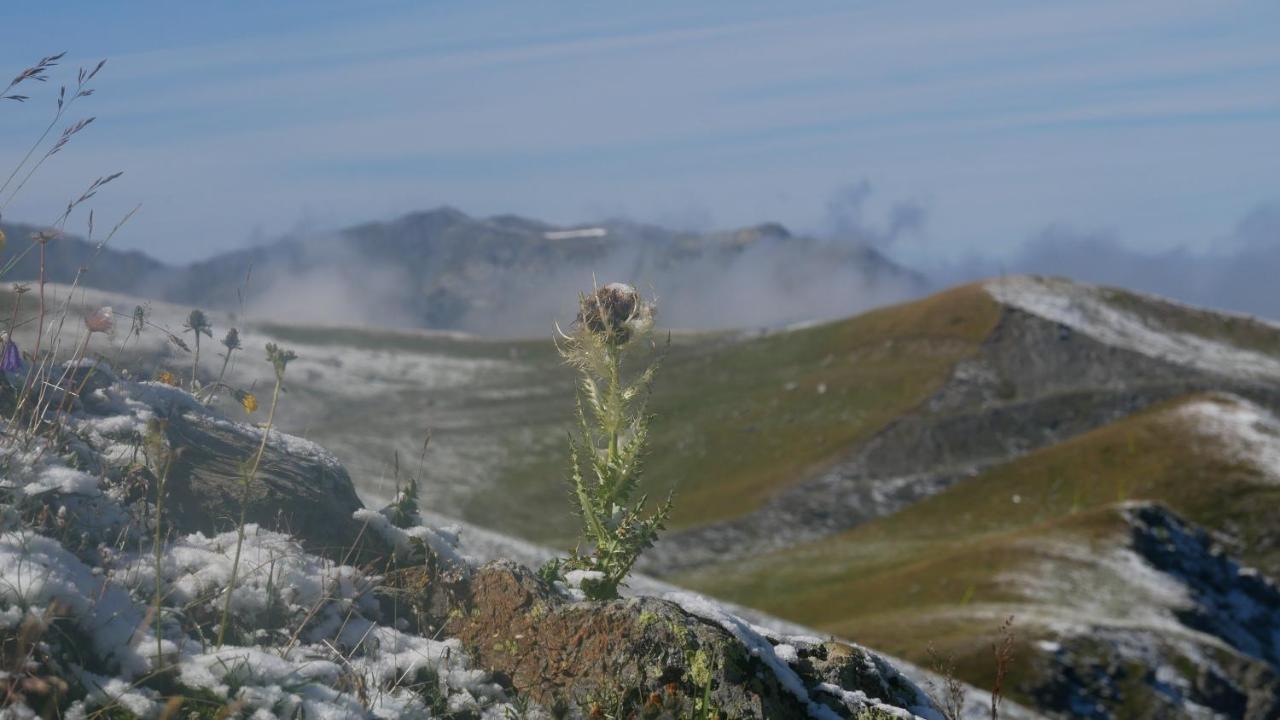 Le Prince Des Cimes Apartman Les Arcs  Kültér fotó